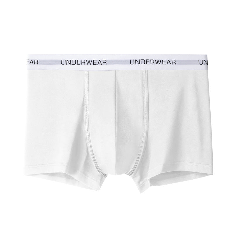 White men's cotton boxer briefs with elastic "UNDERWEAR" waistband, featuring classic fit and comfort