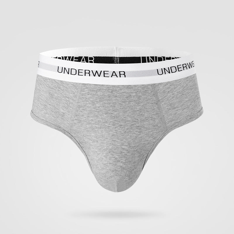 Light gray men's brief underwear with branded elastic waistband reading "UNDERWEAR", displayed floating against neutral background