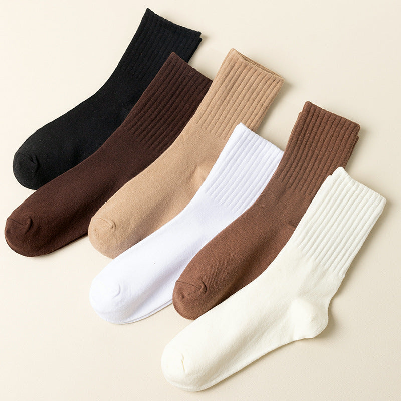 A flat lay of six ribbed crew socks in neutral colors - black, brown, beige, white - arranged in rows on a cream background