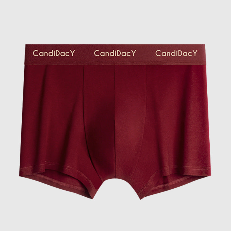 Burgundy men's boxer briefs with white 'CandiDacY' text on elastic waistband against light background