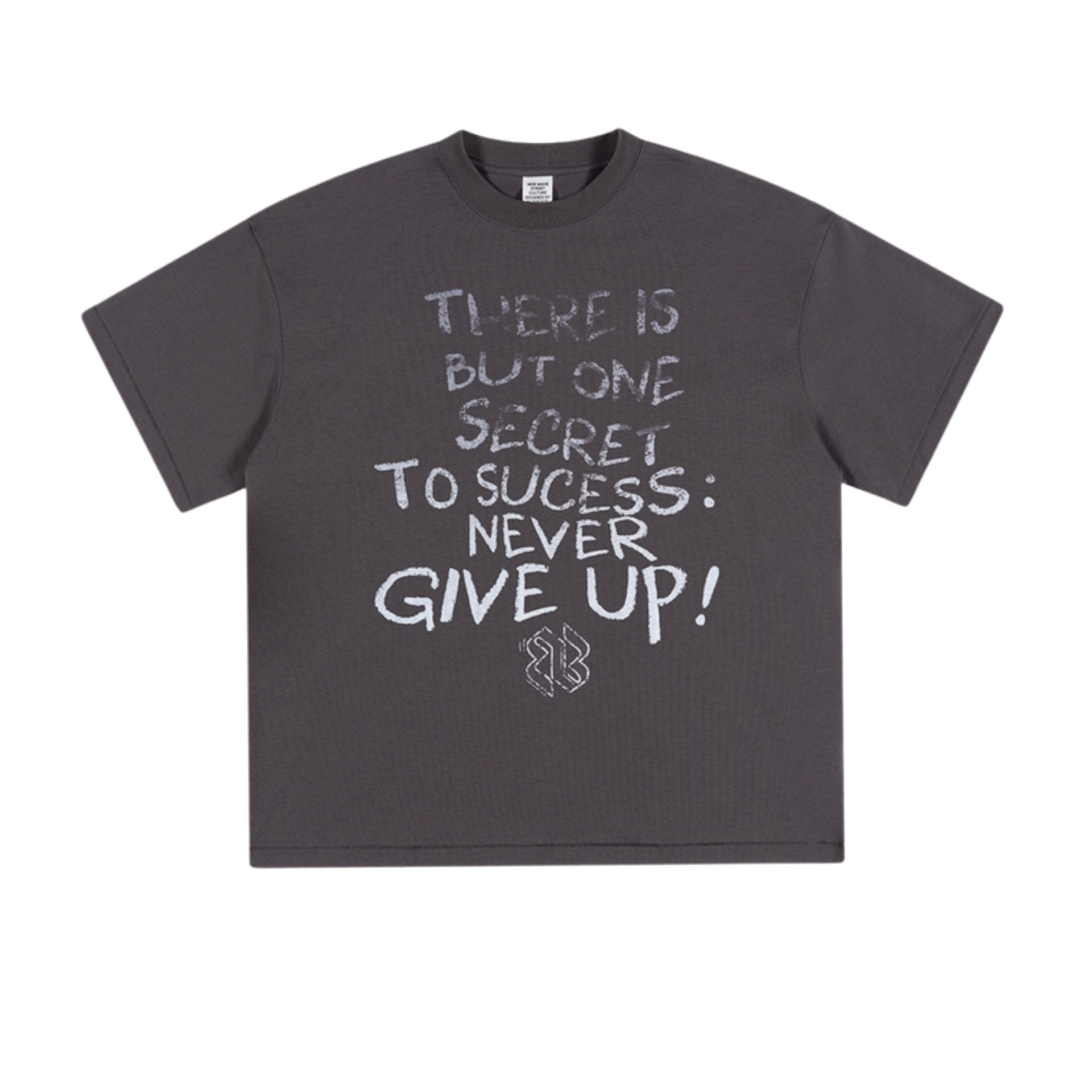 Flat-lay of dark purple oversized T-shirt with chalk-style text reading "There is but one secret to success: never give up!"